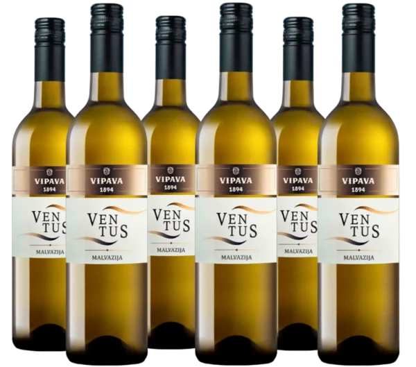 Ventus – Malvazija