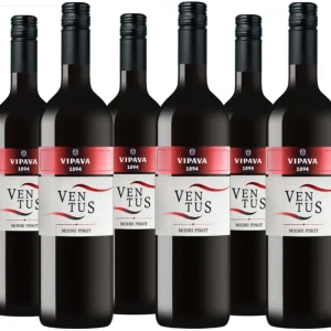 Ventus – Modri Pinot
